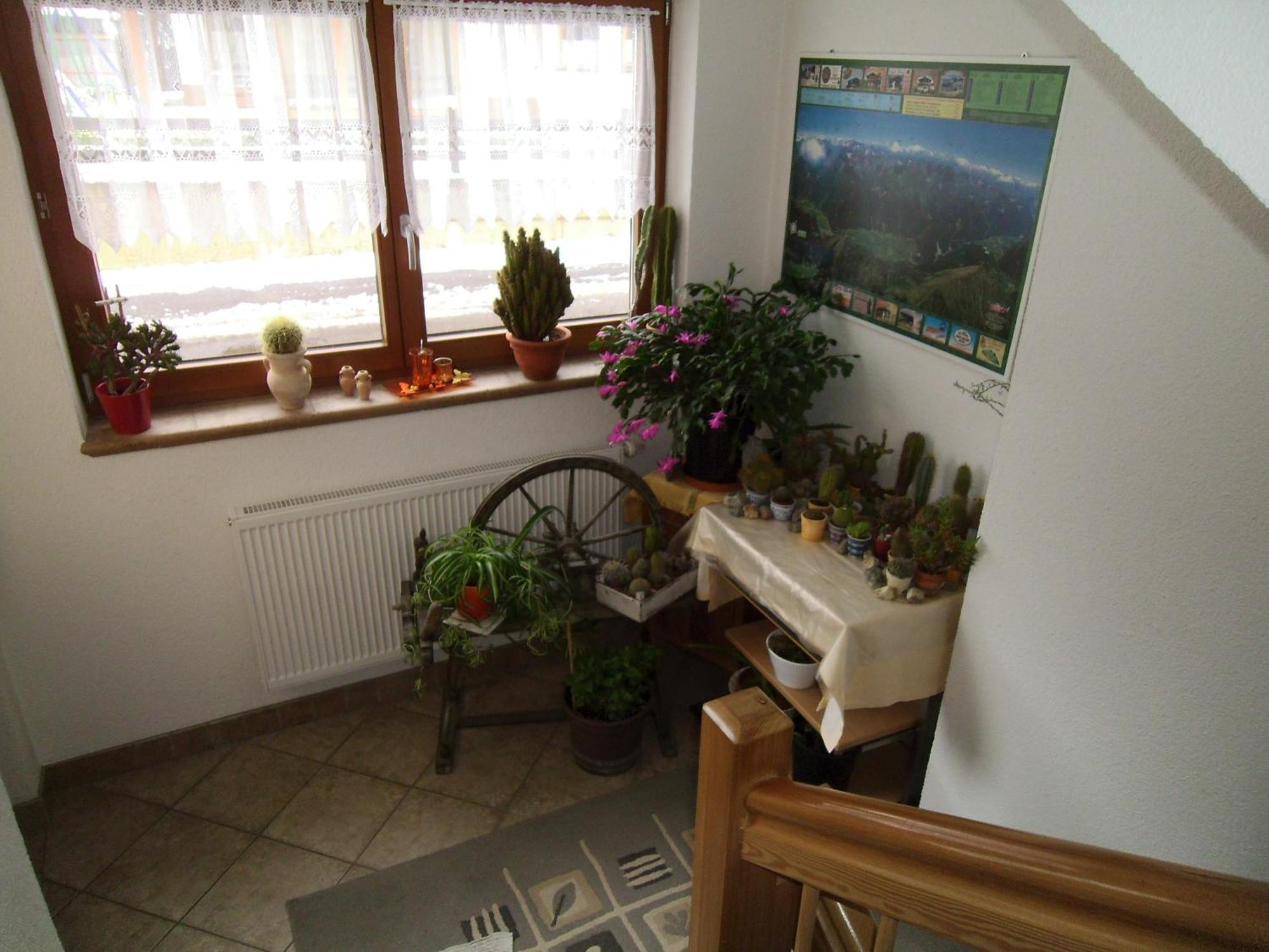 Haus Weidmannsheil Apartman Längenfeld Kültér fotó